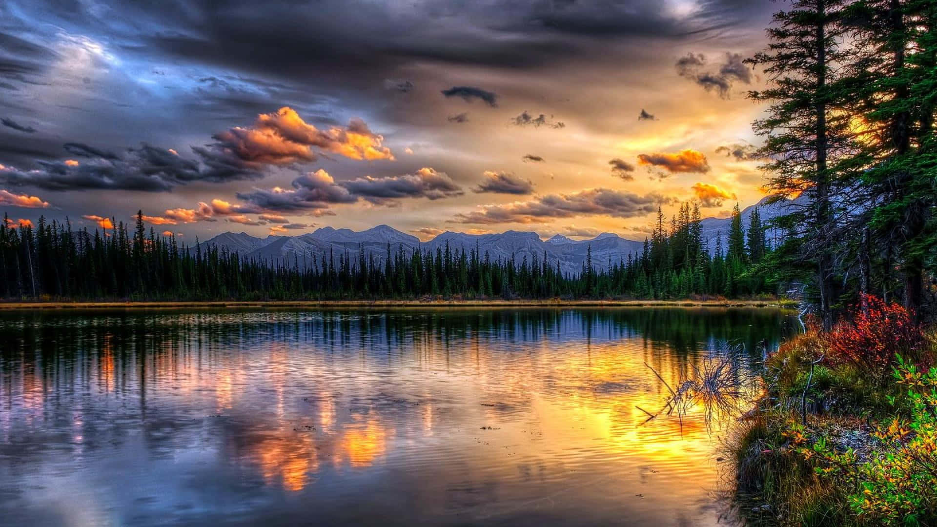 Beautiful Scenery Desktop Canada Forest Lake Background