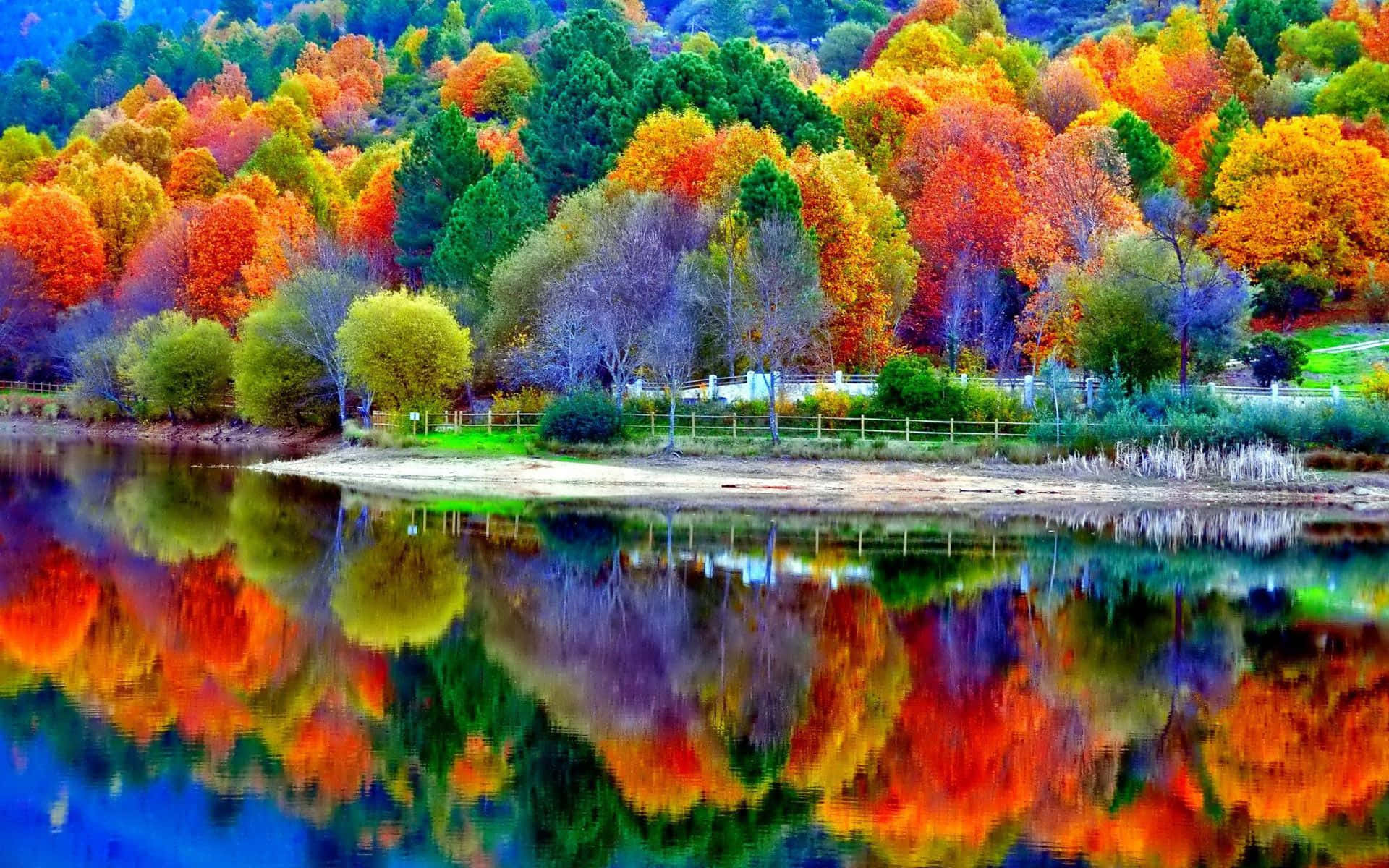 Beautiful Scenery Desktop Colorful Autumn Lake Background