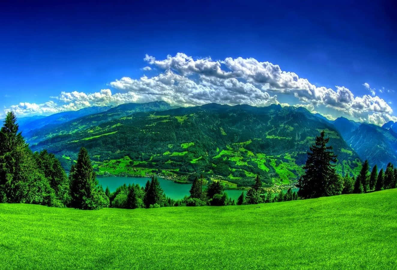 Beautiful Scenery Desktop Ichkeul Lake Background