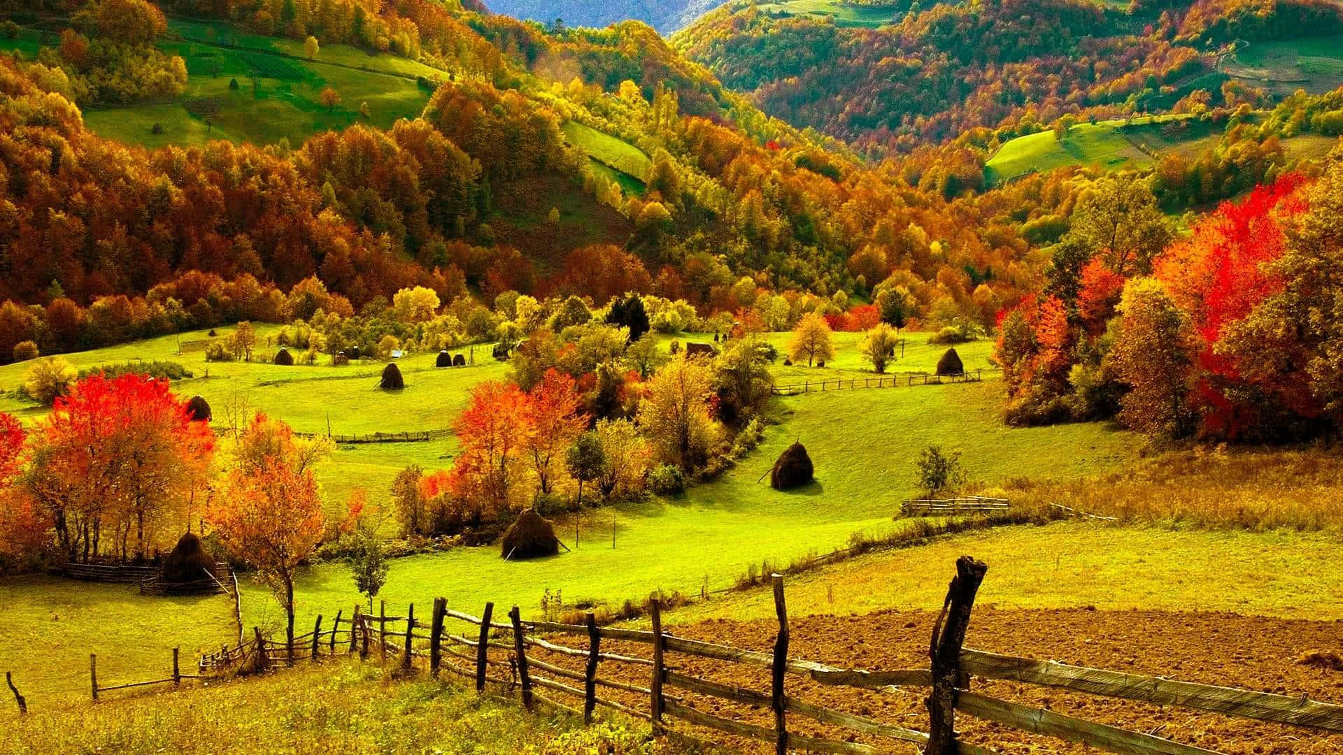 Beautiful Scenery Desktop Nature Fields Hills Grass Farm Background