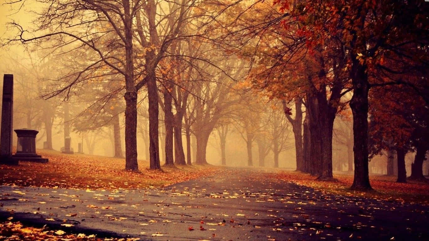 Beautiful Scenery Nostalgic Sad Desktop Background