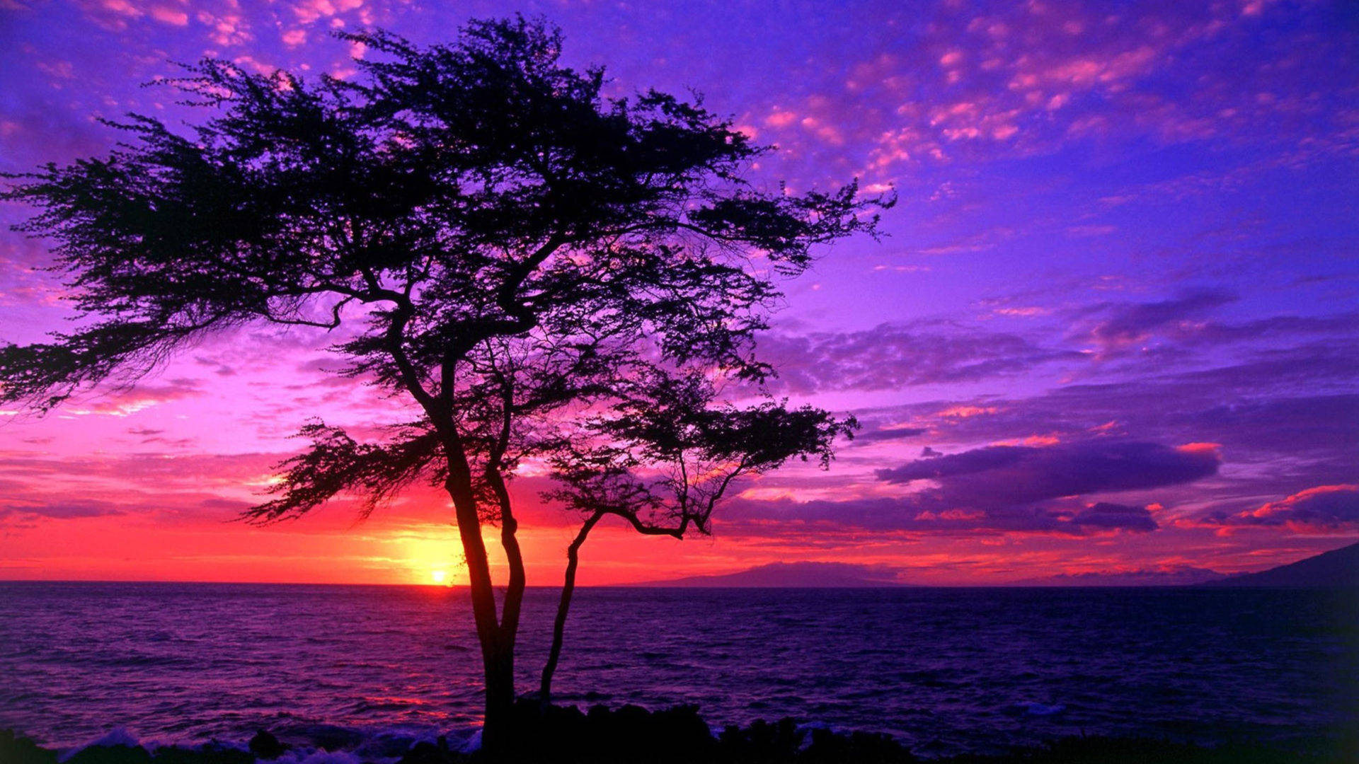 Beautiful Scenery Purple Sky Background