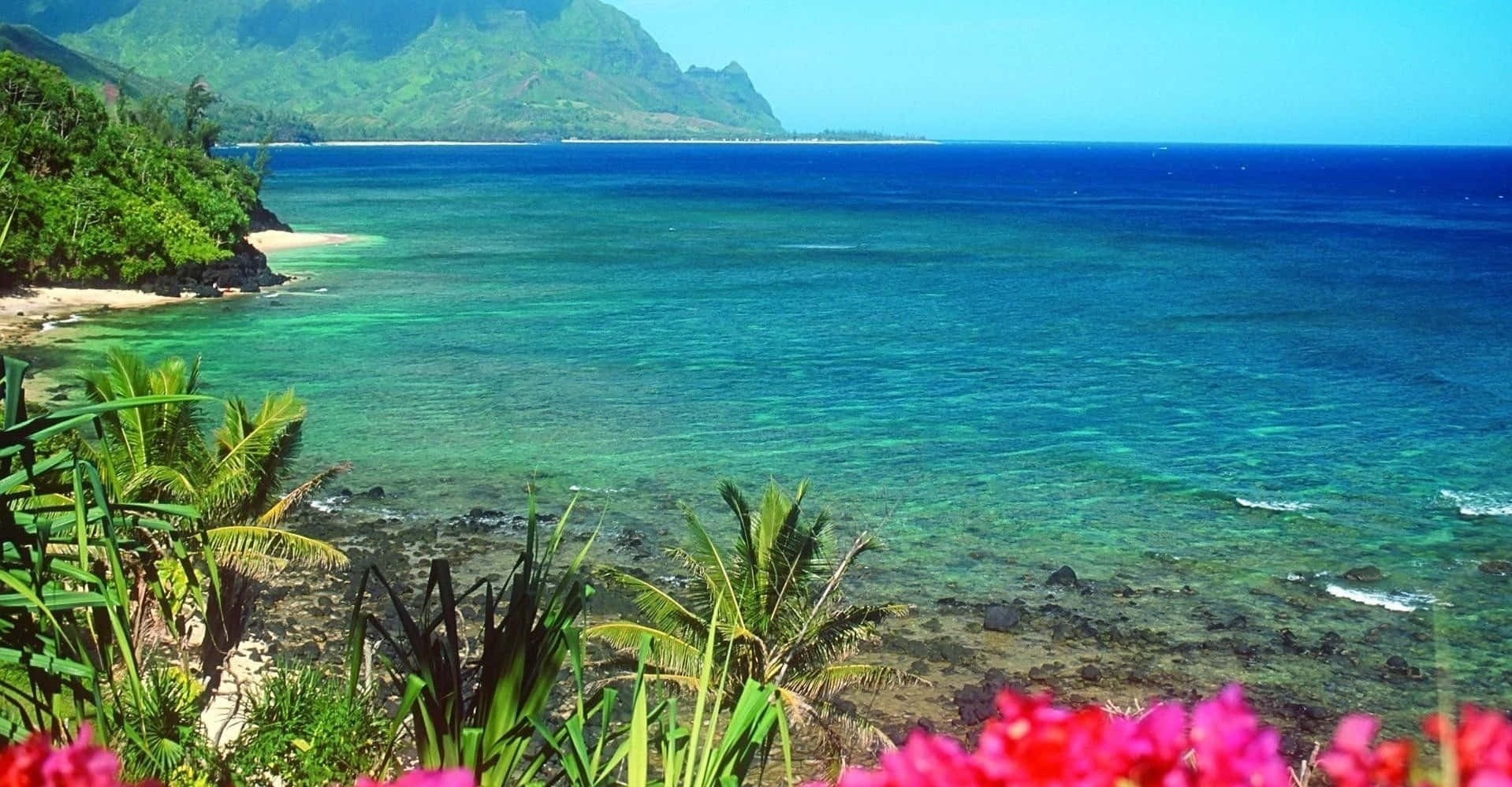 Beautiful Sea Coastal Turquoise View Background