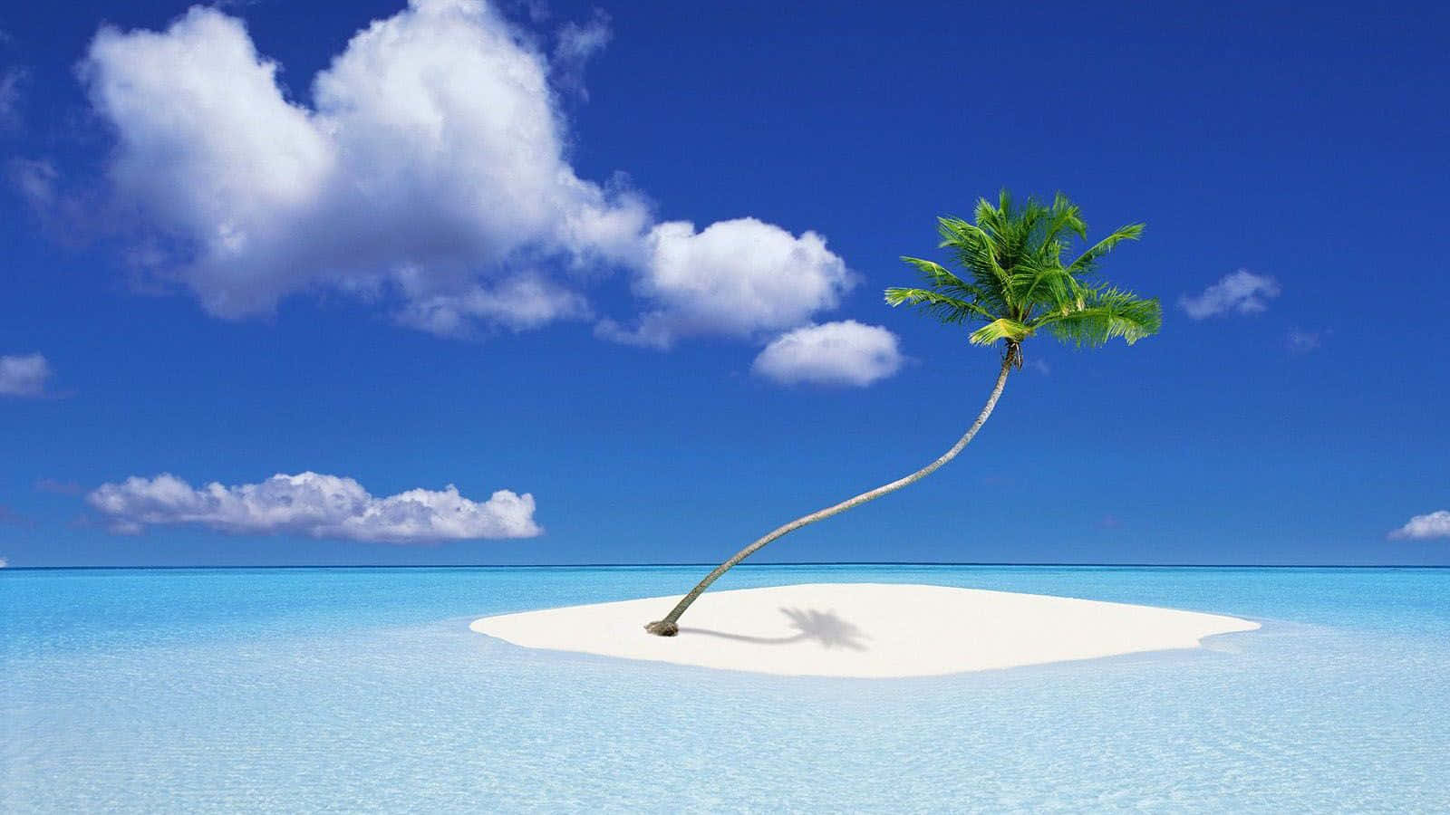 Beautiful Sea Isolated White Sand Palm Tree Island Background