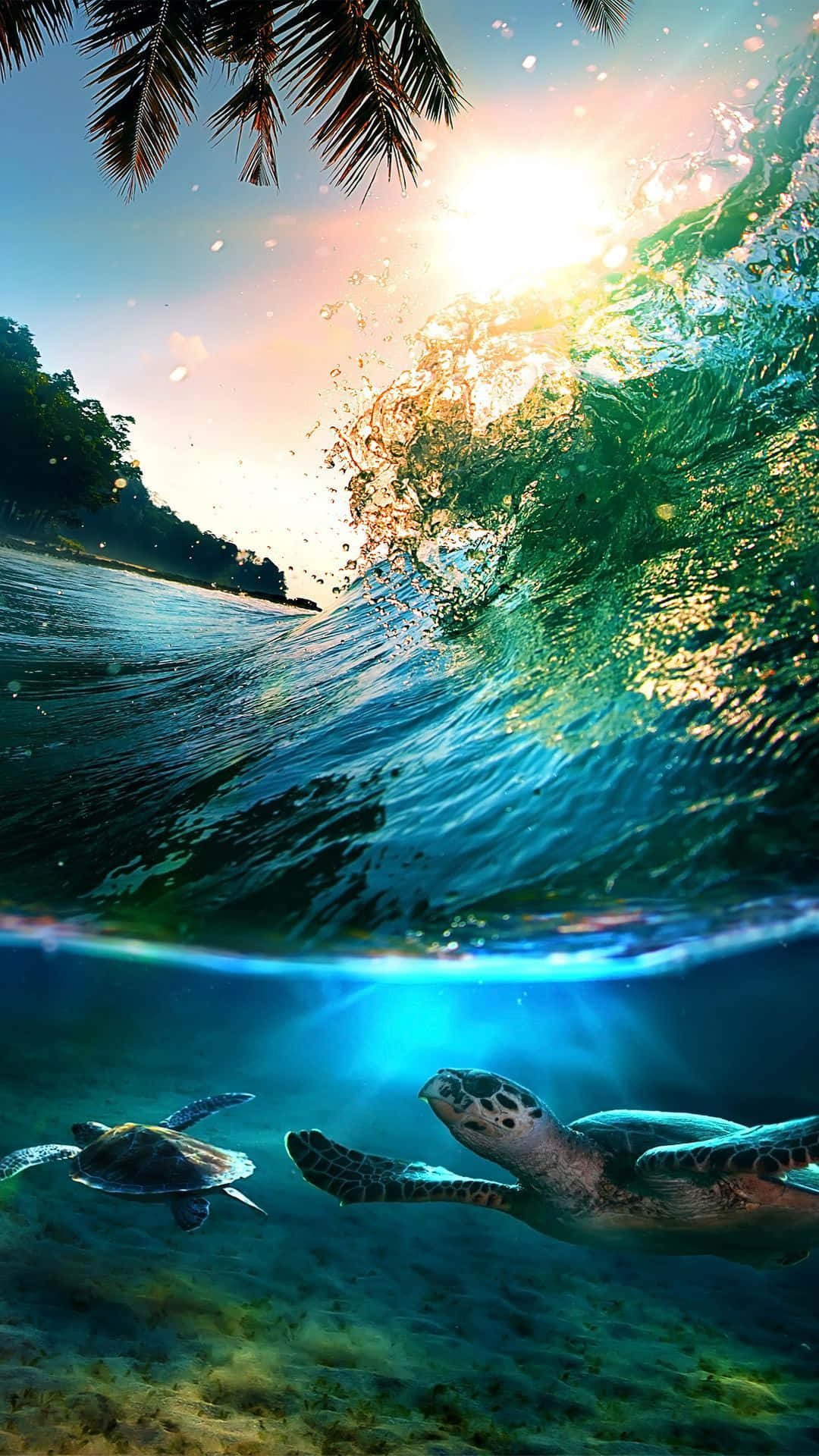 Beautiful Sea Waves & Swimming Turtles Background