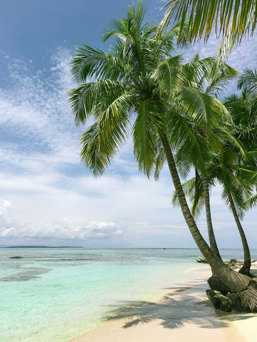 Beautiful Sea With Palm Trees