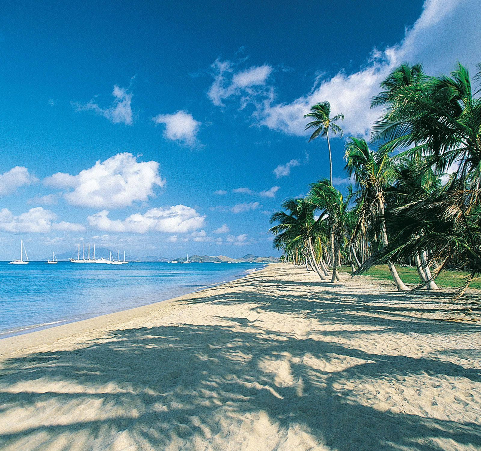 Beautiful St. Kitts And Nevis Beach Background