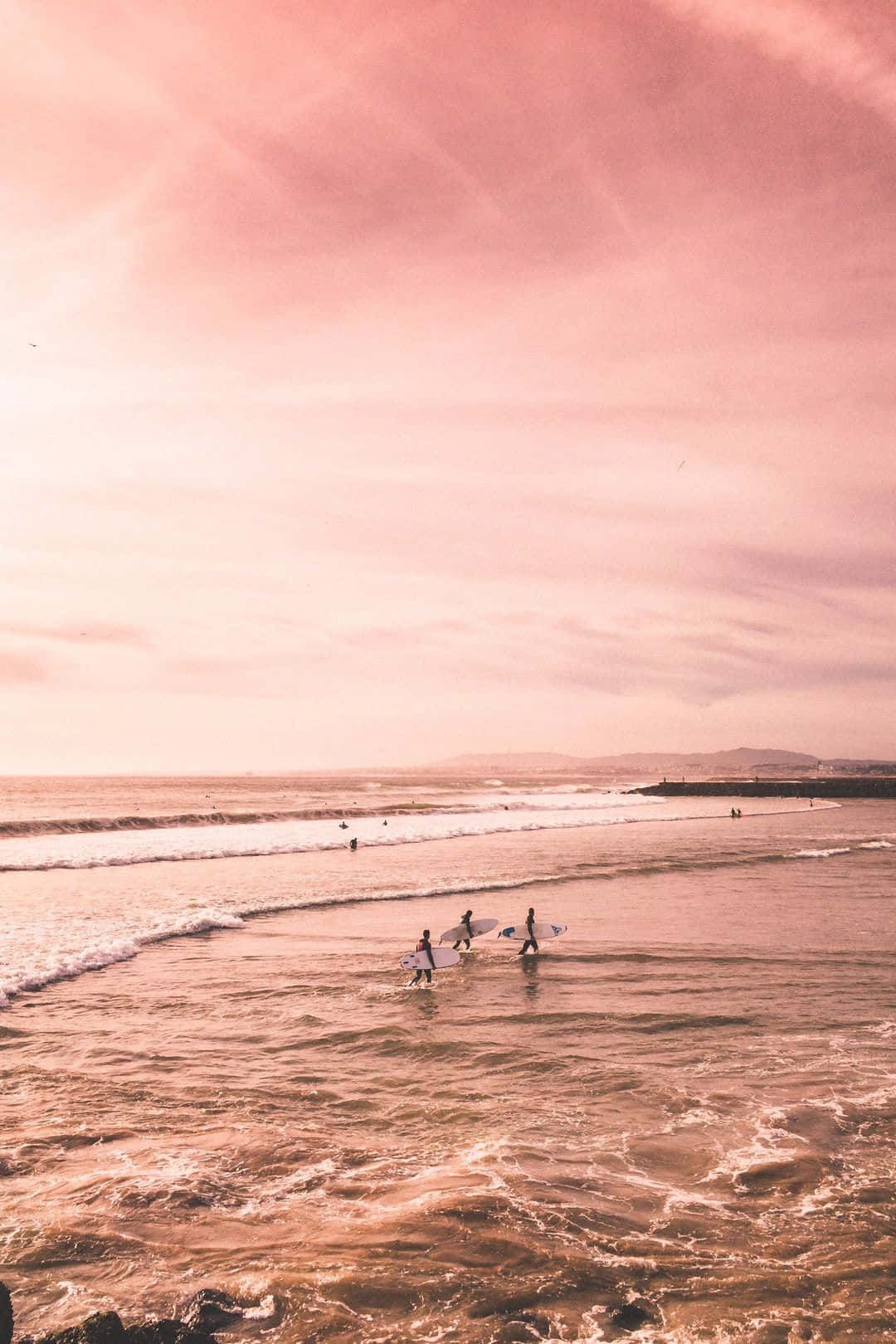 Beautiful Summer Pink Sunset Background