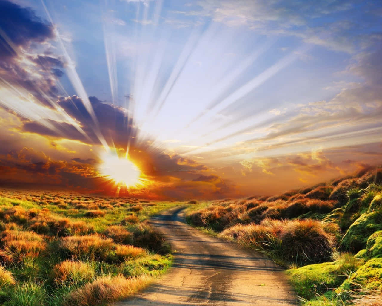 Beautiful Sun Rays Background