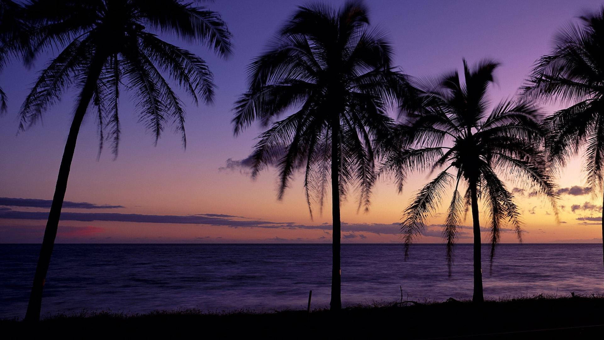 Beautiful Sunset Beach Theme Background