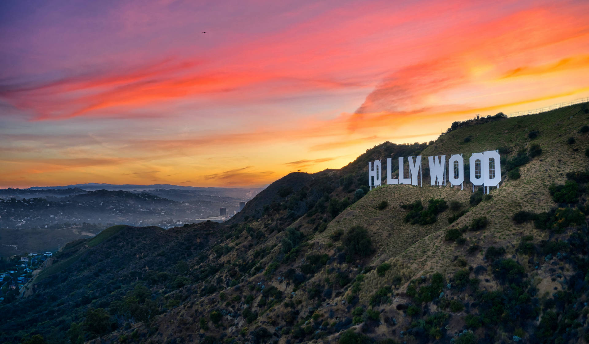 Beautiful Sunset Hollywood Sign Background