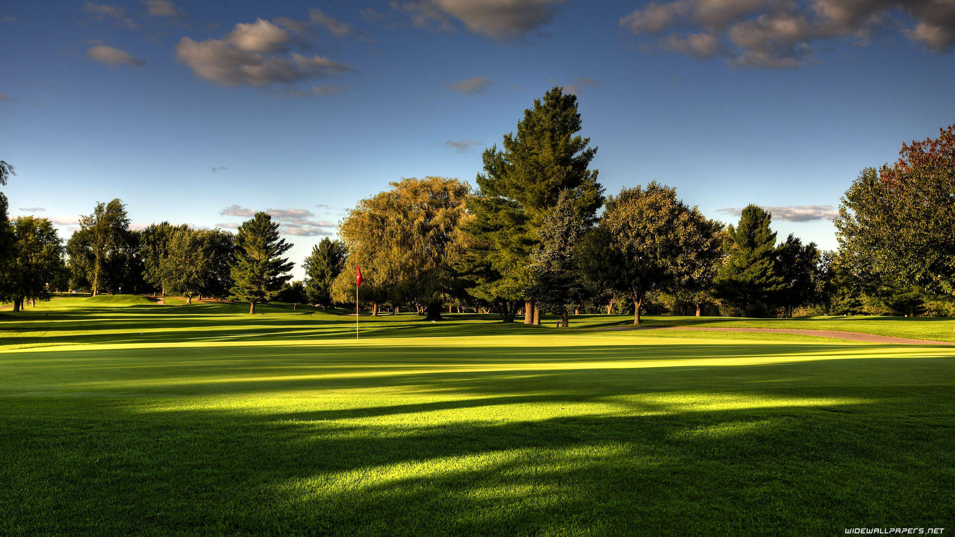 Beautiful Trees In Golf Course Background