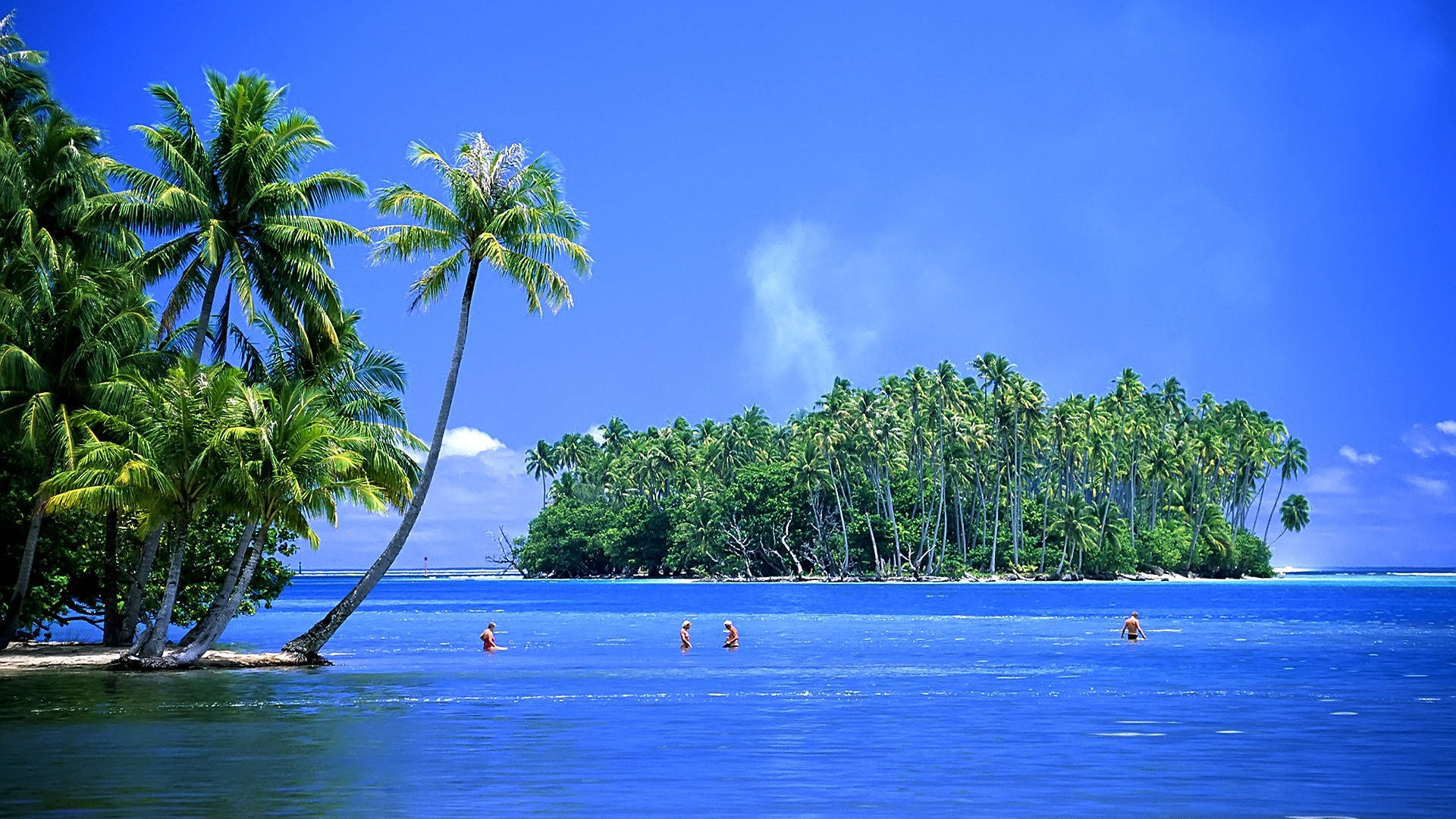 Beautiful Tropical Island Background