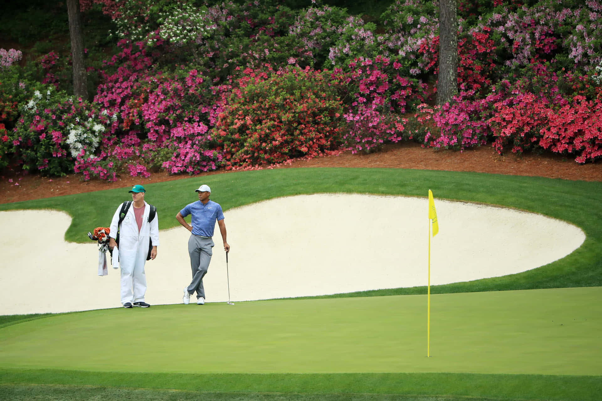 Beautiful View Of Augusta National Golf Course Background