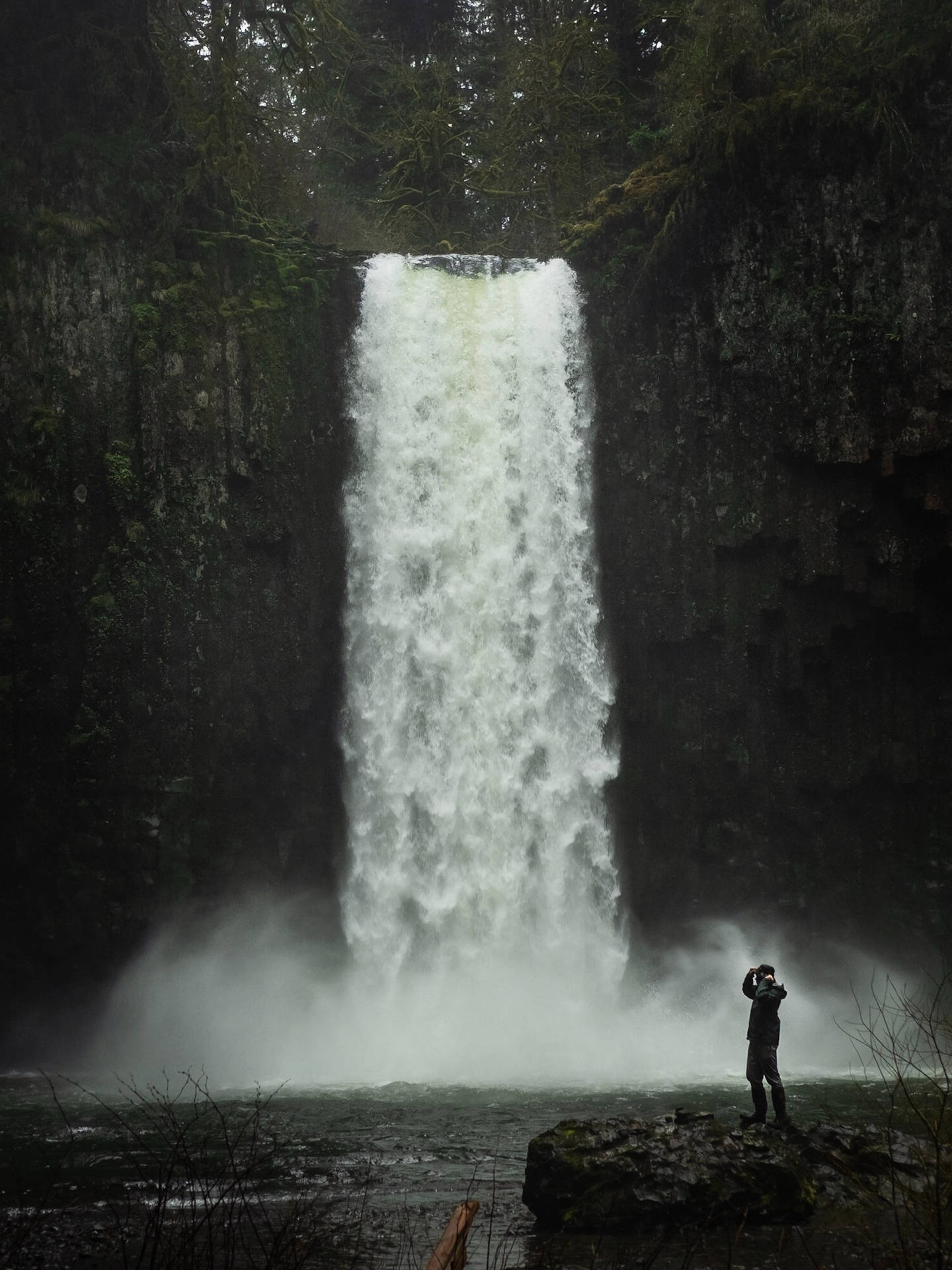 Beautiful Waterfall Abiqua Oregon