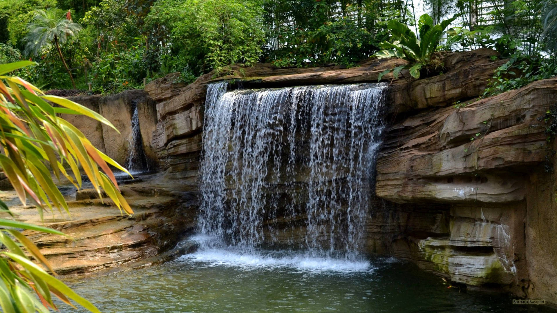 Beautiful Waterfall Botanical Garden Background