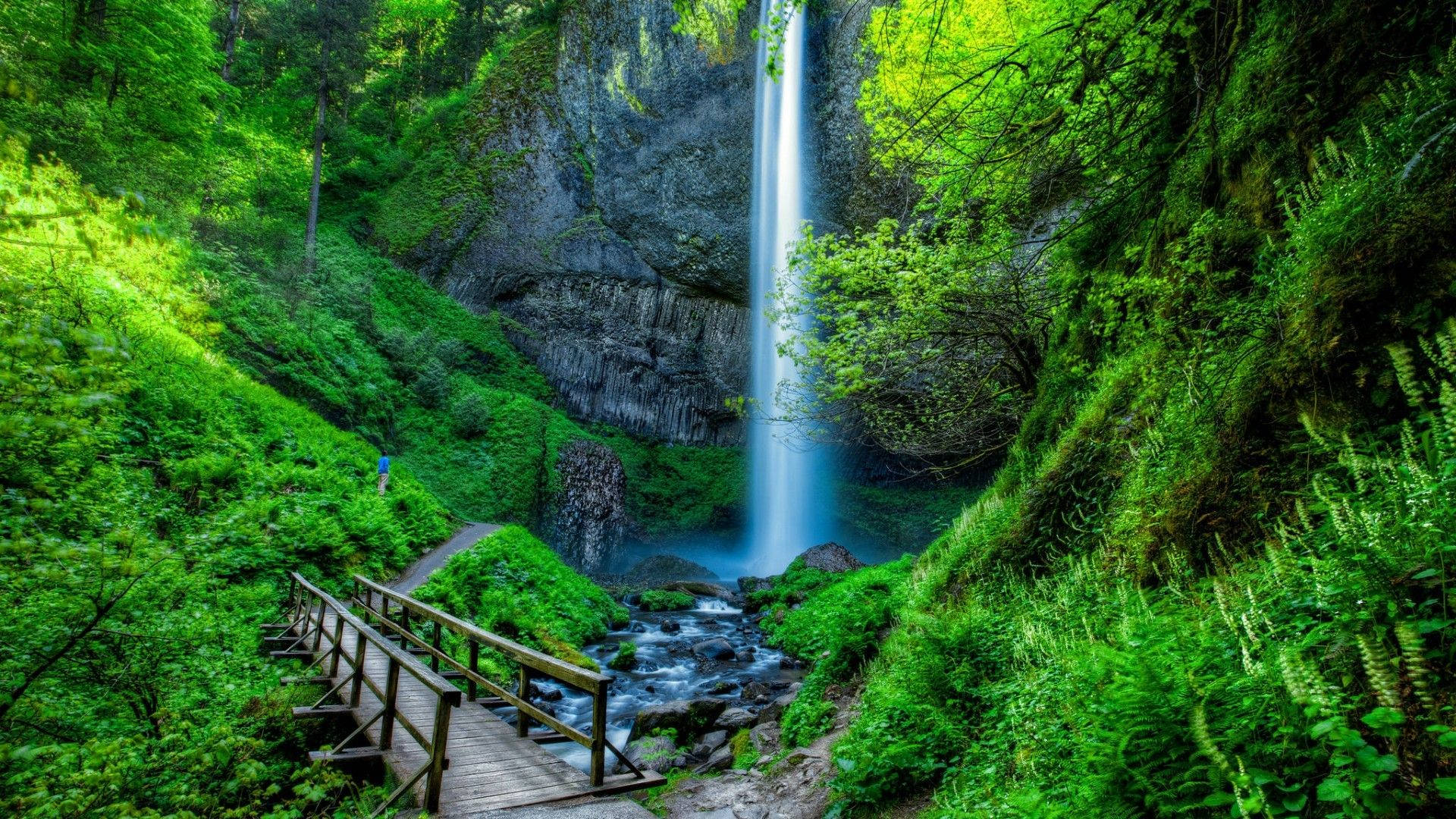 Beautiful Waterfall Oregon Background