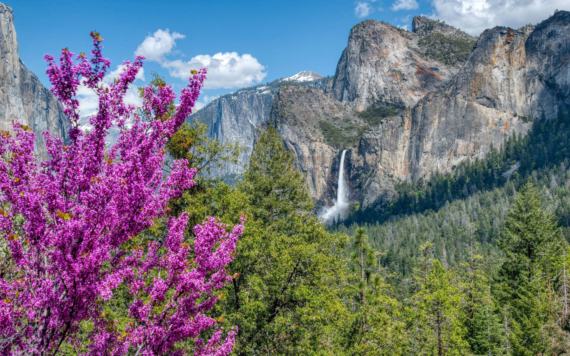 Beautiful Waterfall Yosemite