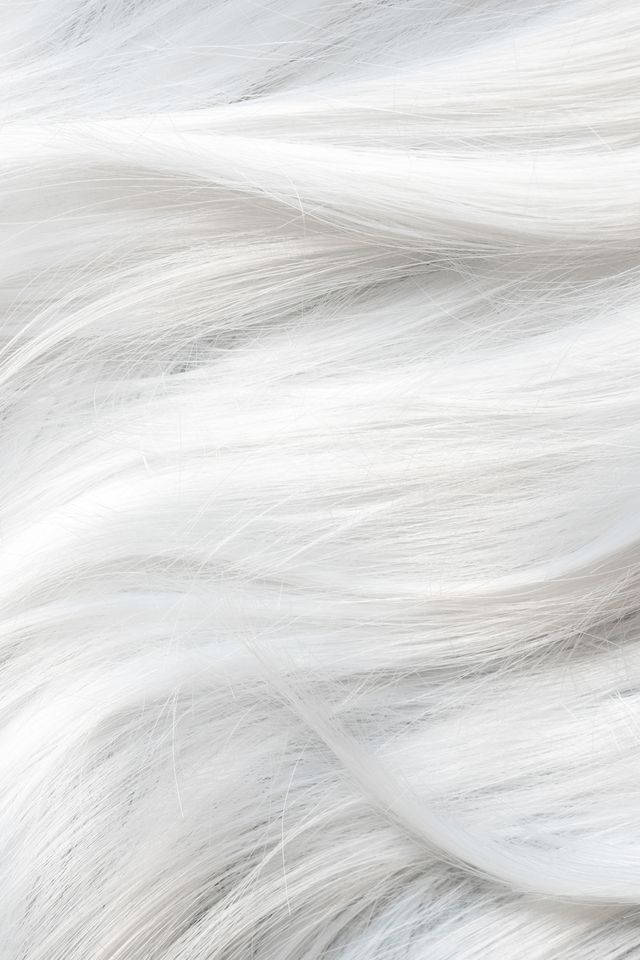 Beautiful White Hair Background