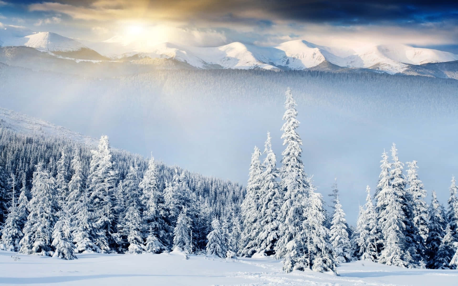 Beautiful Winter Wonderland Background