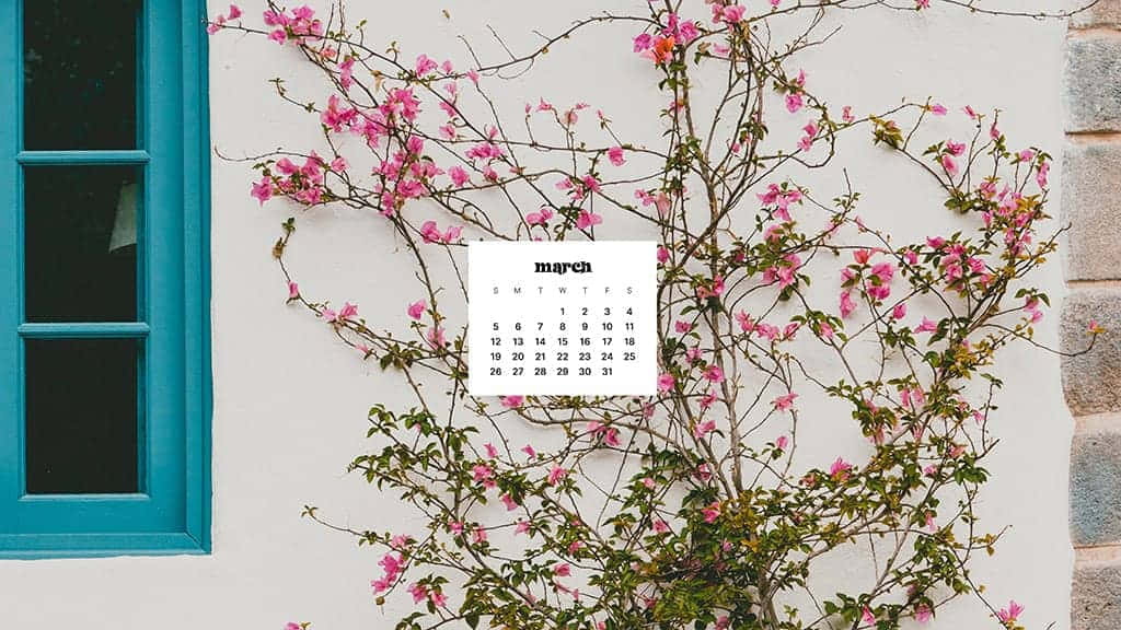 Beautifully Bloom Into Spring With This March Desktop Wallpaper Background