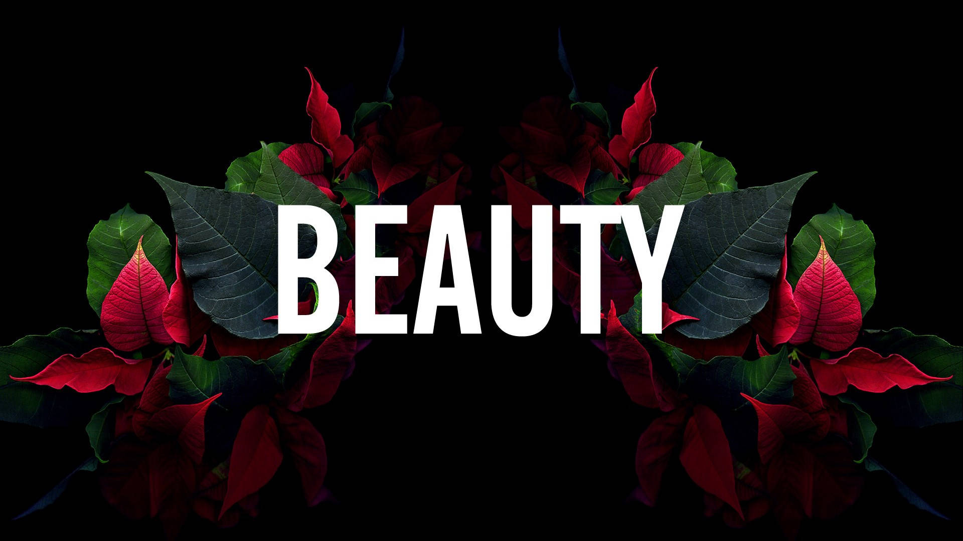 Beauty - A Black Background With Red Flowers Background