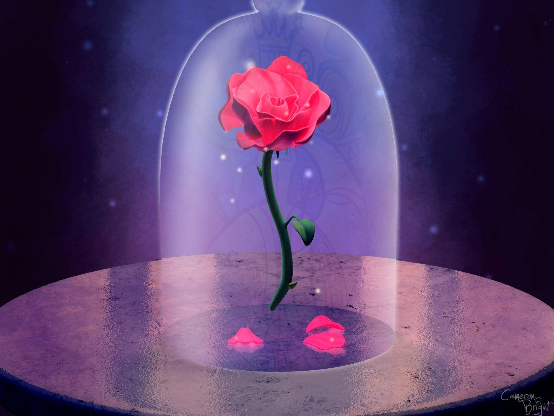 Beauty And The Beast Rose Digital Art Background