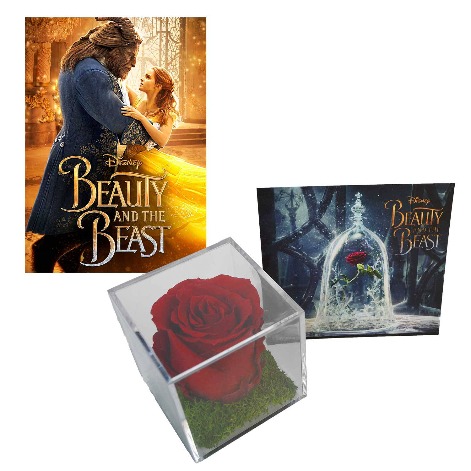 Beauty And The Beast Rose Merch Background