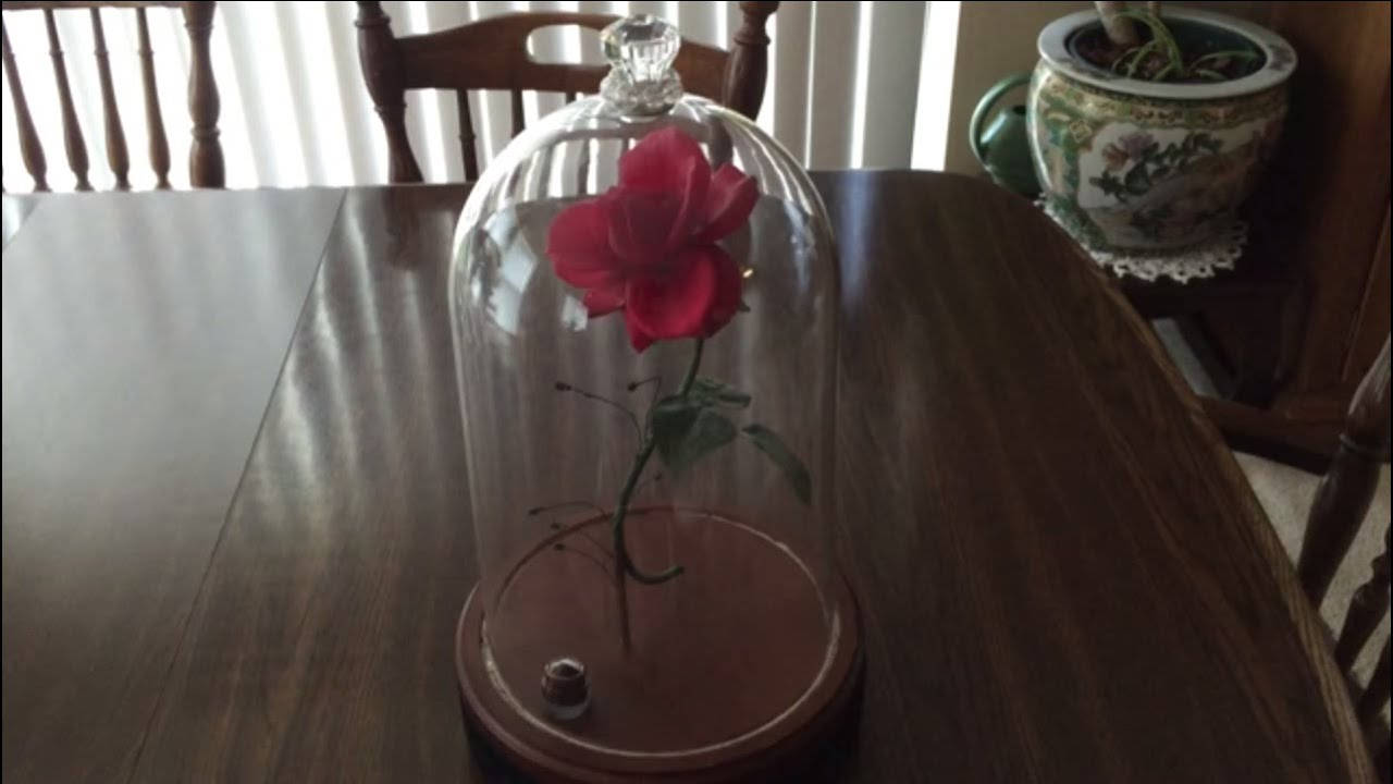 Beauty And The Beast Rose On Table Background