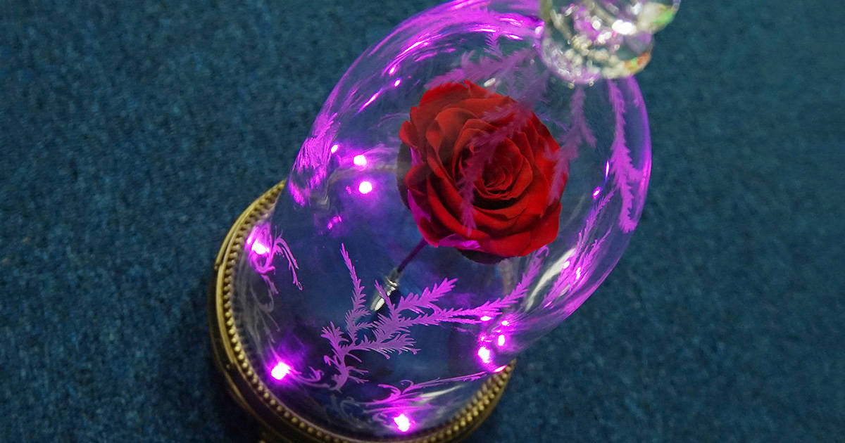 Beauty And The Beast Rose Pink Lights
