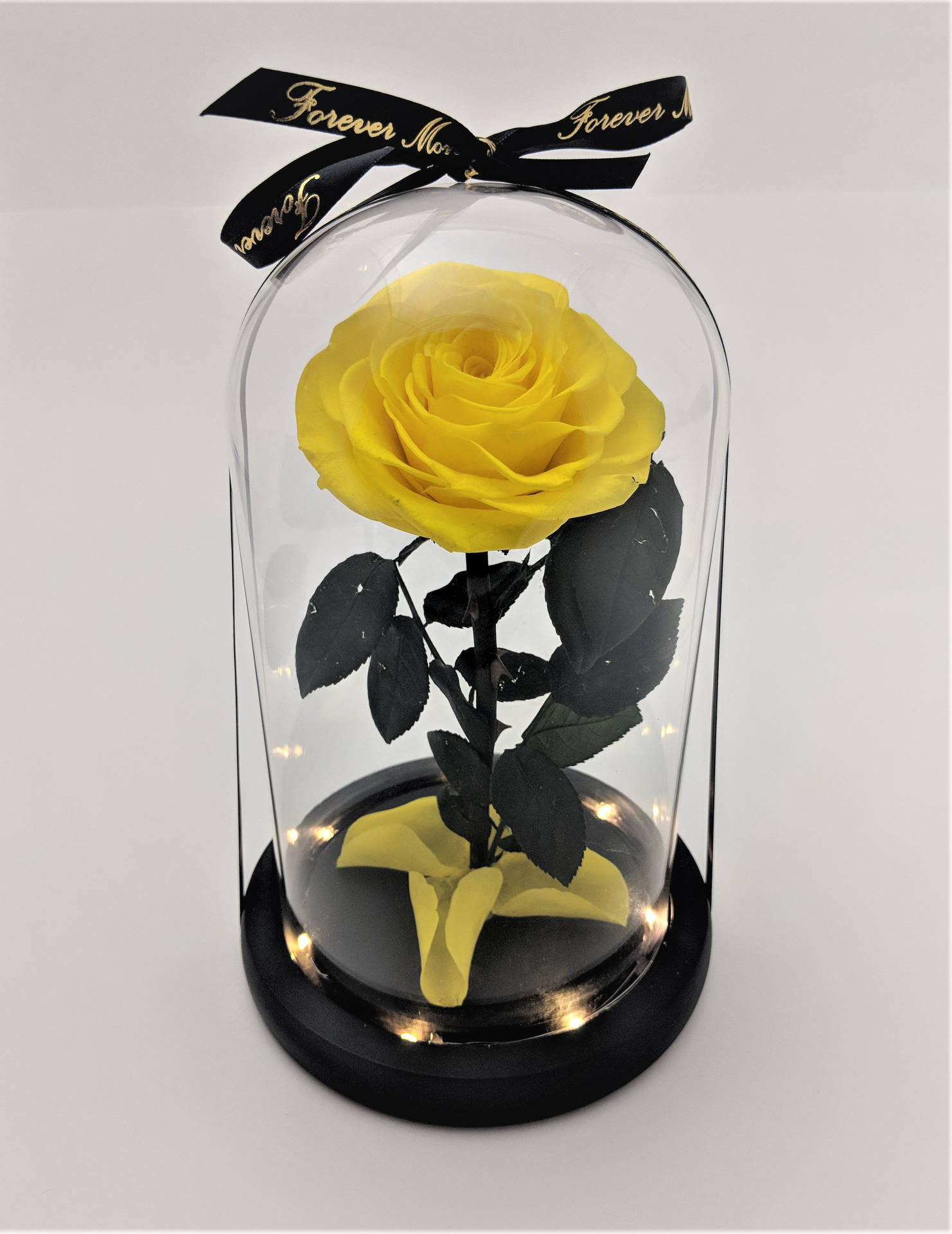 Beauty And The Beast Yellow Black Rose Background