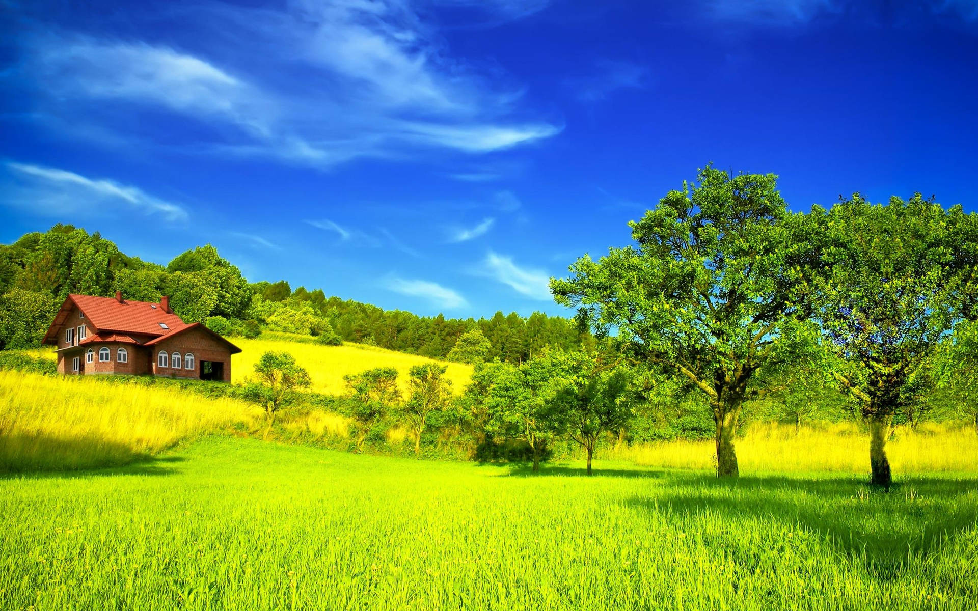 Beauty Of A Peaceful Country Yard Background