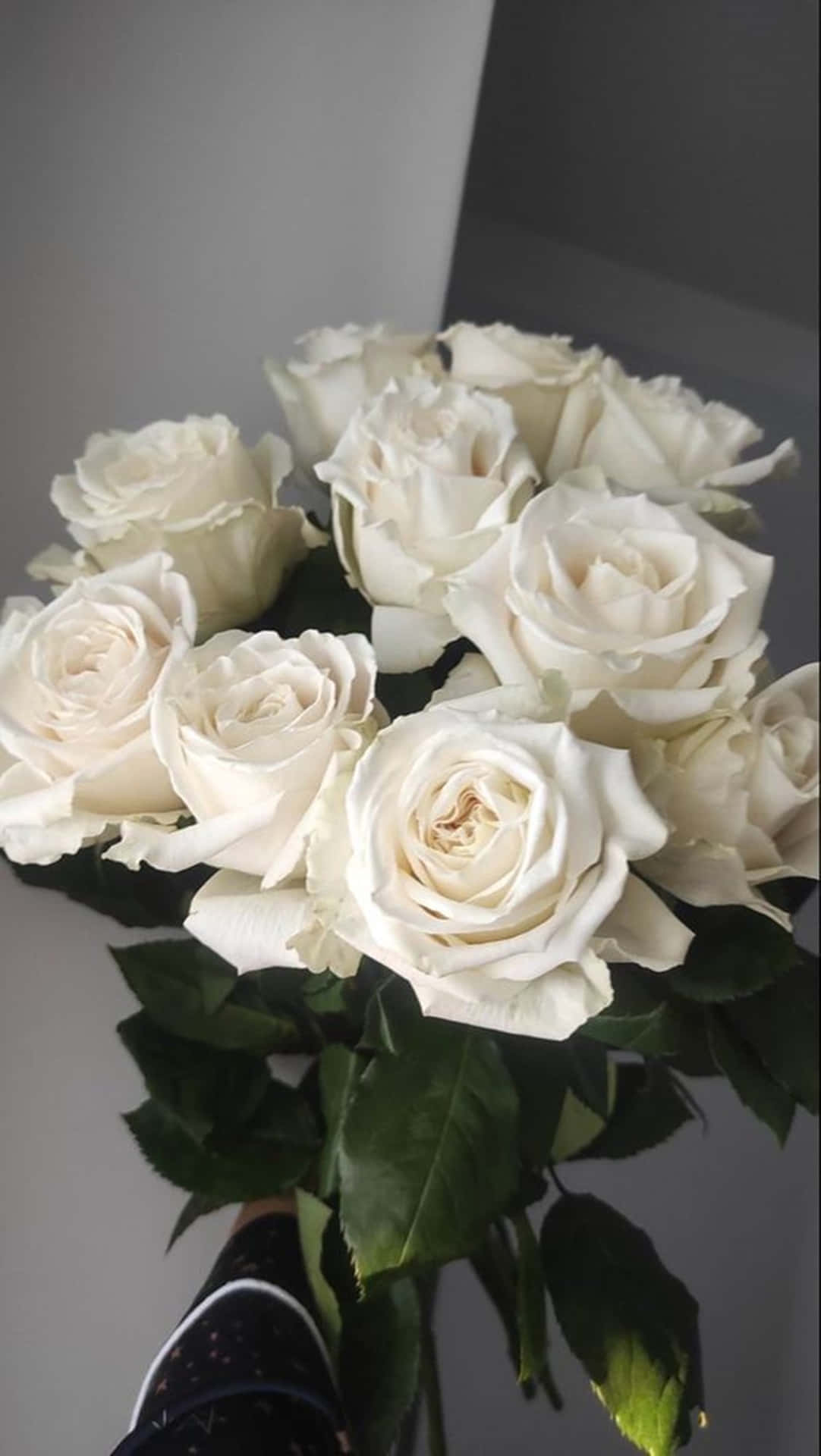 Beauty Of Nature In A White Rose