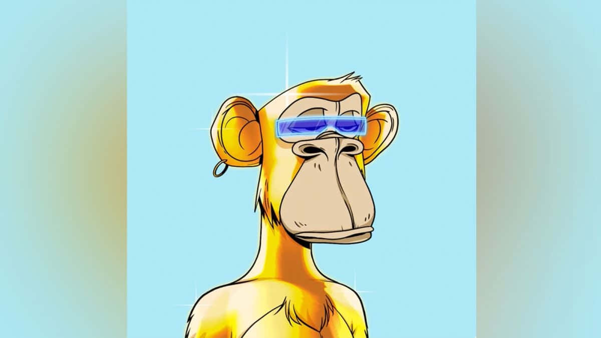 Become Tito, A Non-fungible Token Monkey, And Join The Cutting Edge Of Crypto