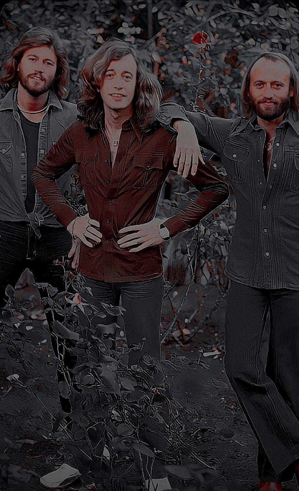 Bee Gees Pose Outdoor Woods Background