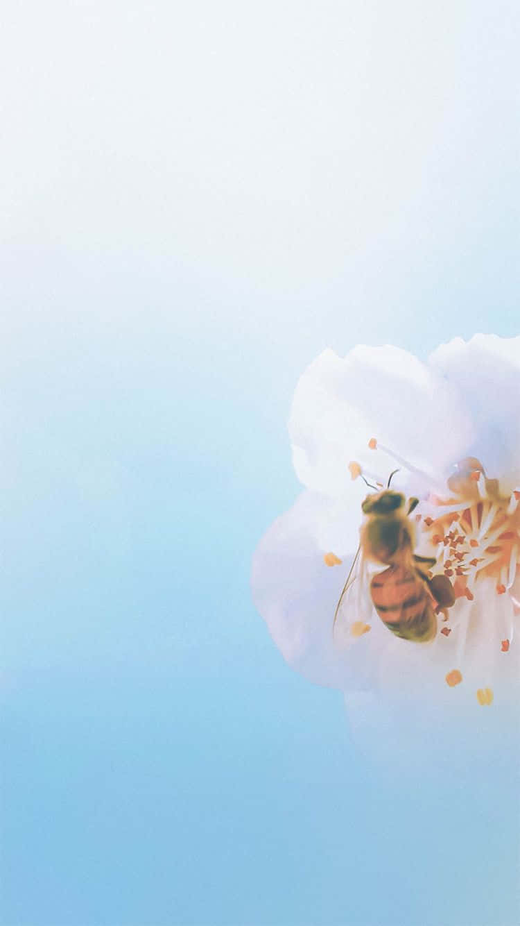 Bee Iphone Bright Background