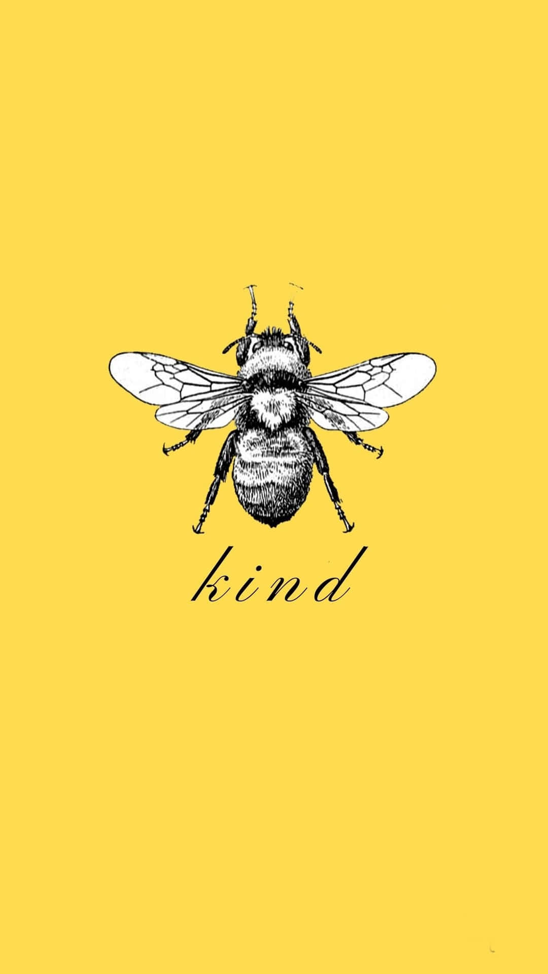 Bee Kind Iphone Background