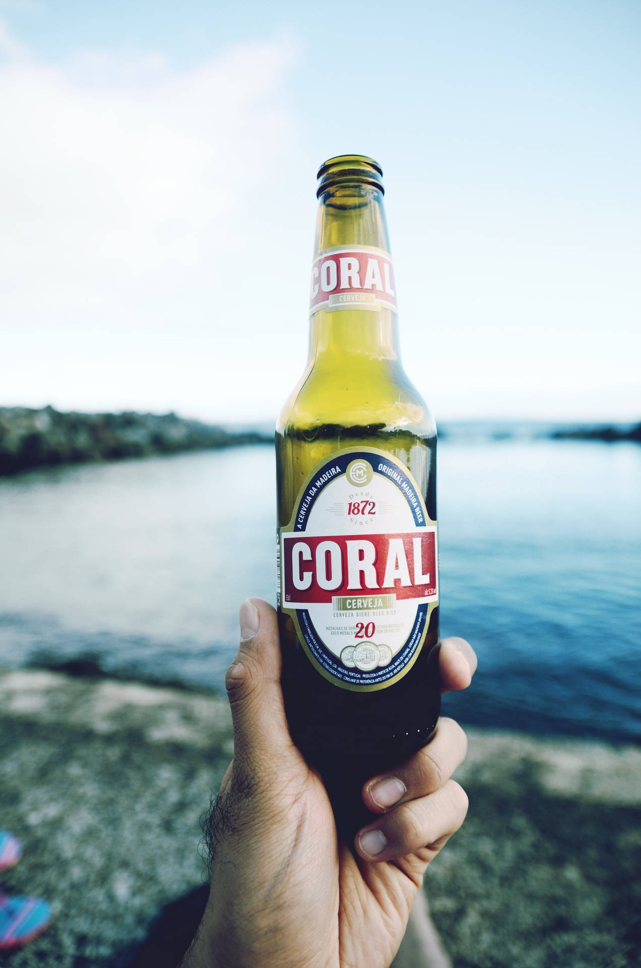 Beer Bottle Coral Pure Malt Beer Background