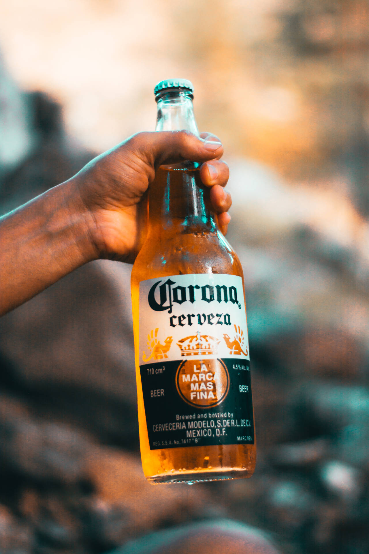 Beer Bottle Corona 1 Litter Background