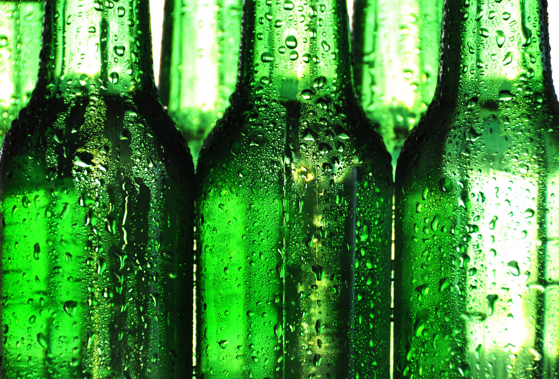 Beer Bottles Covered In Moist Background