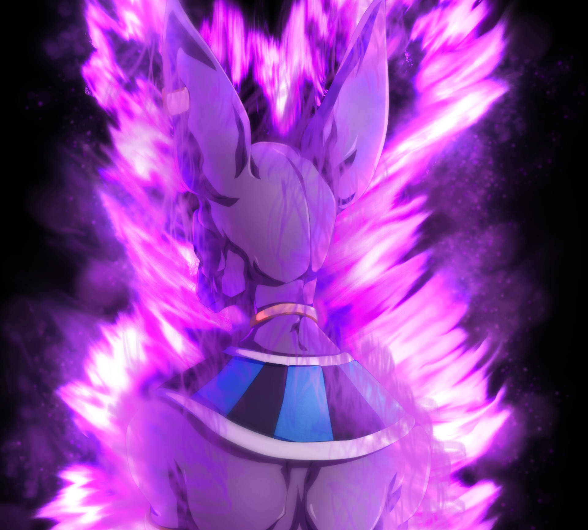 Beerus From The Back Background
