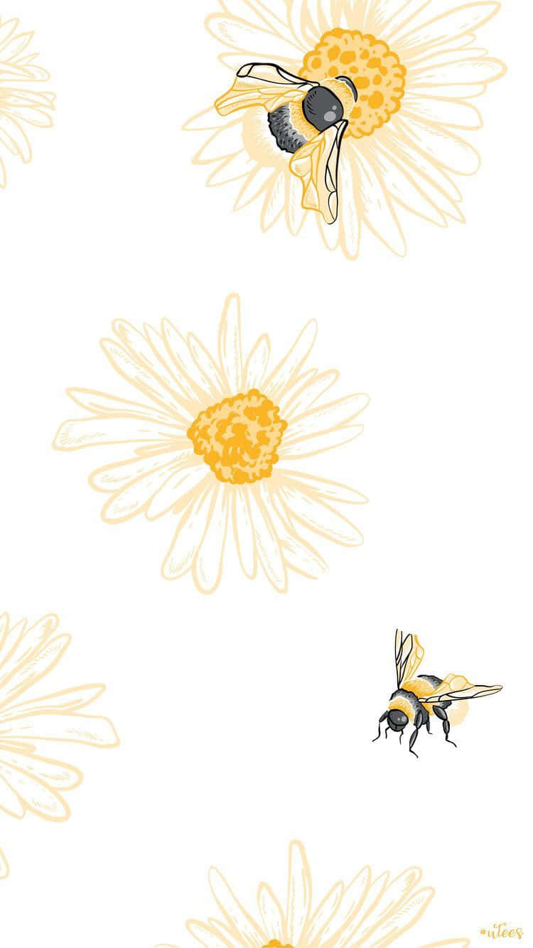 Bees White Flowers Pianting Iphone Background