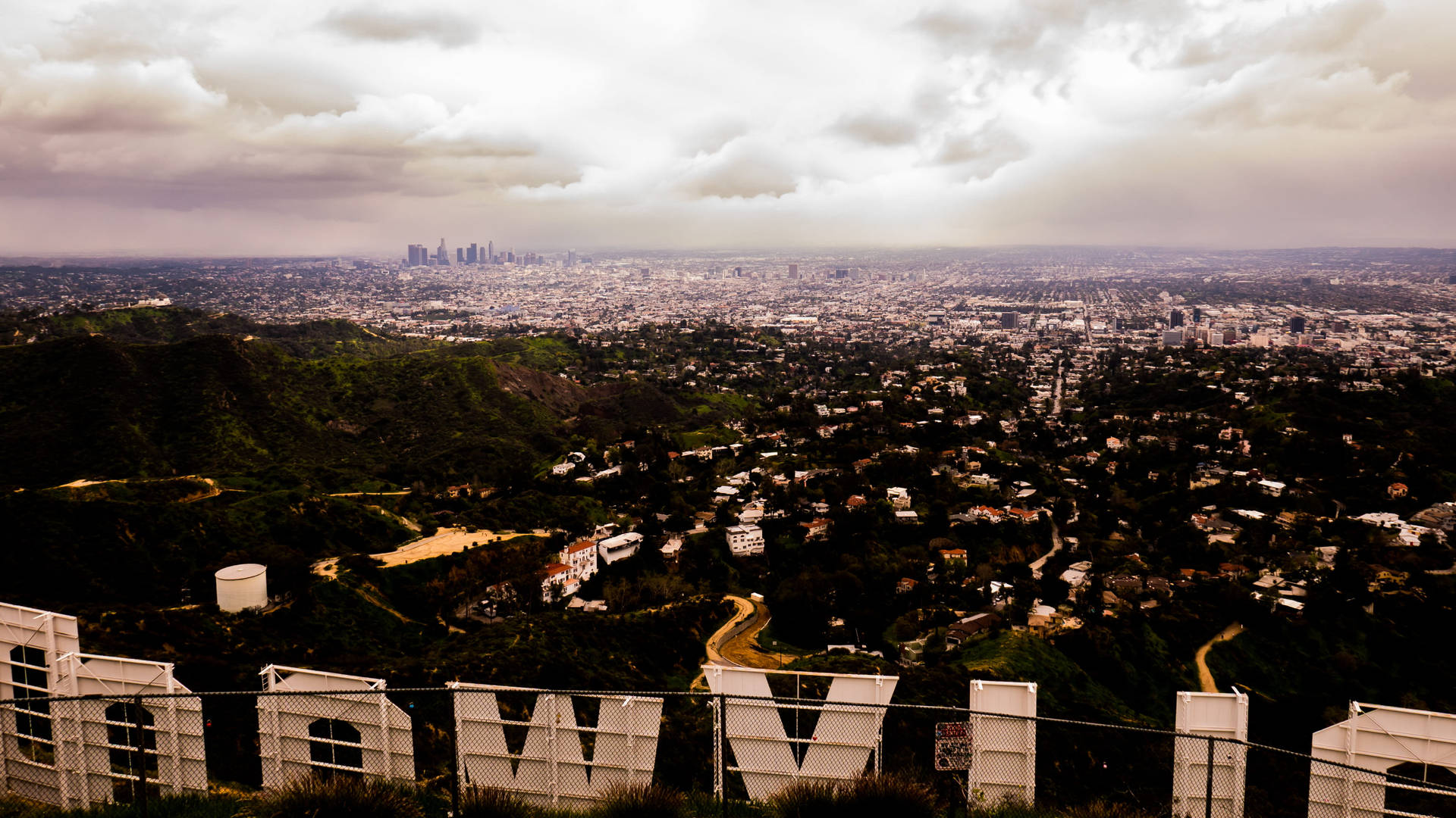 Behind The Hollywood Sign Background