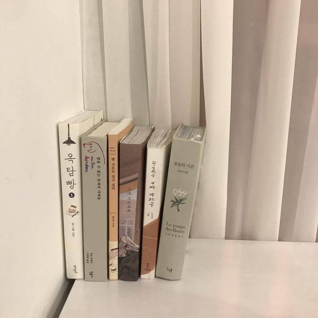 Beige Aesthetic Korean Books