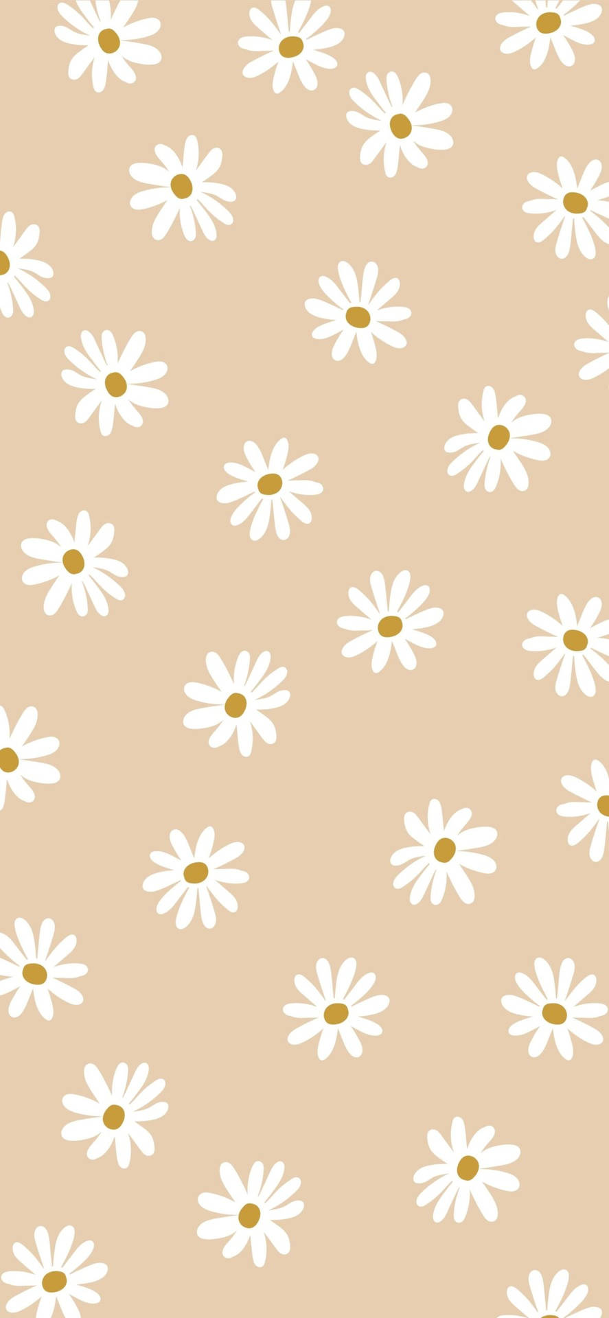 Beige Aesthetic Phone With Daisy Flowers