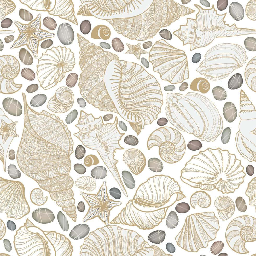 Beige Aesthetic Seashell Art