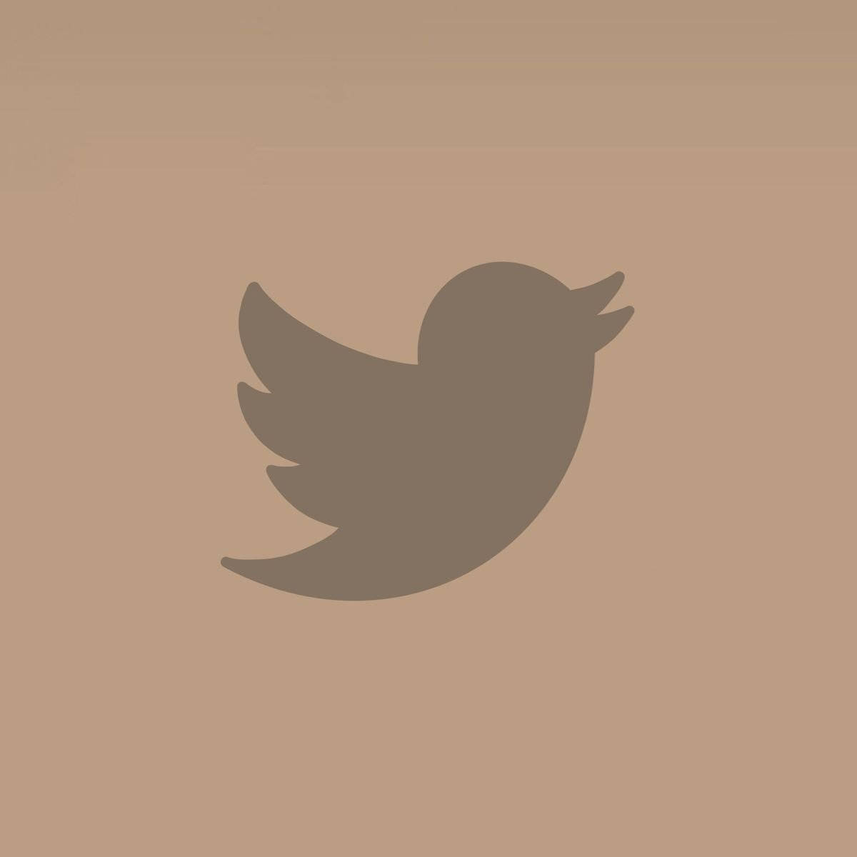 Beige And Brown Twitter Logo Background