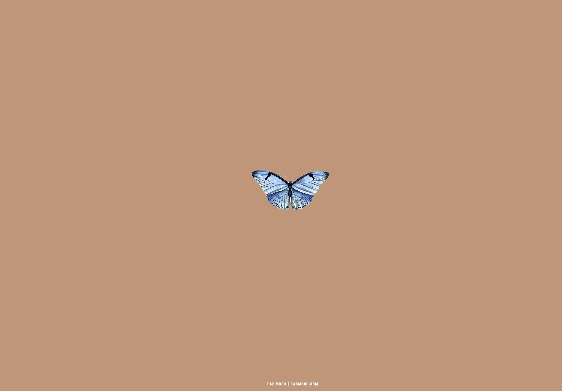 Beige Brown Aesthetic Blue Butterfly