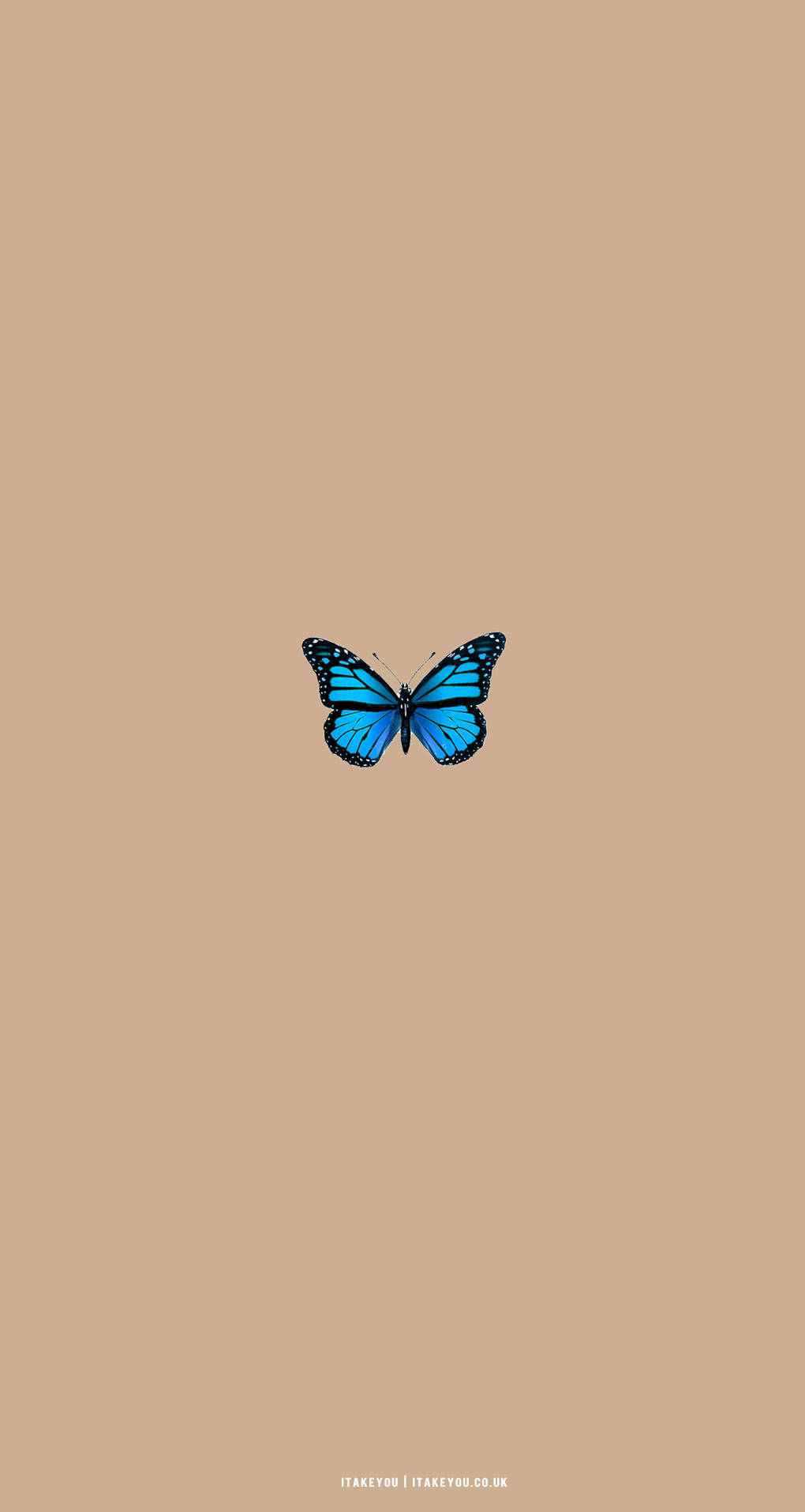 Beige Butterfly Aesthetic Background
