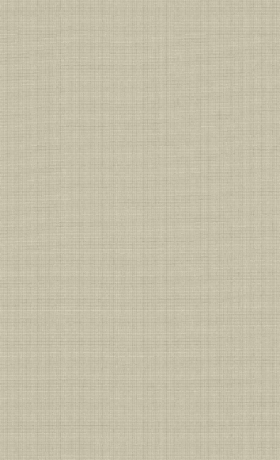 Beige Minimalist Hue Background